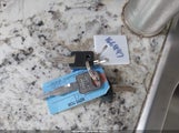 Miniaturka zdjęcia 11