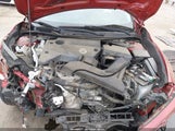 Miniaturka zdjęcia 10