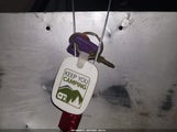 Miniaturka zdjęcia 11