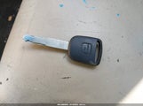 Miniaturka zdjęcia 11