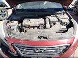 Hyundai Sonata Sport 5NPE34AF0FH217891 photo
