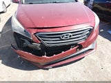 Hyundai Sonata Sport 5NPE34AF0FH217891 photo