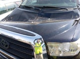 Toyota Tundra Sr5 5.7L V8 5TBDV54148S519329 fotografie