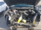 Ford F-150 Xlt 1FTFW3LD3SFA24561 снимка