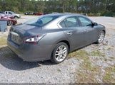 Nissan Maxima 3.5 S/3.5 Sv 1N4AA5AP2EC480743 photo