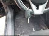 Miniaturka zdjęcia 11
