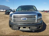 Ford F-150 Fx4/Harley-Davidson/King Ranch/Lariat/Platinum/Xl/Xlt 1FTFW1EV1AFD14175 fotografie