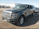 Ford F-150 Fx4/Harley-Davidson/King Ranch/Lariat/Platinum/Xl/Xlt 1FTFW1EV1AFD14175 fotografie