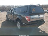 Ford F-150 Fx4/Harley-Davidson/King Ranch/Lariat/Platinum/Xl/Xlt 1FTFW1EV1AFD14175 снимка