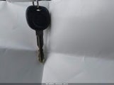 Miniaturka zdjęcia 11
