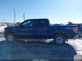 Ford F-150 Fx4/Harley-Davidson/King Ranch/Lariat/Platinum/Xl/Xlt 1FTFW1EV5AFB68539 fotografie