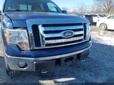 Ford F-150 Fx4/Harley-Davidson/King Ranch/Lariat/Platinum/Xl/Xlt 1FTFW1EV5AFB68539 снимка