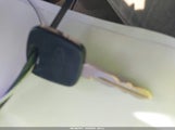 Miniaturka zdjęcia 11