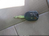 Miniaturka zdjęcia 11
