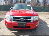 Ford Escape Xlt 1FMCU0D77AKC62155 снимка