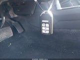Miniaturka zdjęcia 11