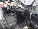 Miniaturka zdjęcia 5
