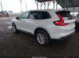 Honda Cr-V Ex Awd 2HKRS4H48TH425666 снимка