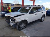 Ford Escape Xlt 1FMCU03G09KA43065 снимка