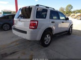 Ford Escape Xlt 1FMCU03G09KA43065 снимка