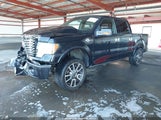 Ford F-150 Fx2 Sport/Harley-Davidson/King Ranch/Lariat/Platinum/Xl/Xlt 1FTEW1CV5AFA13634 fotografie