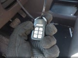 Miniaturka zdjęcia 11