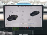 Miniaturka zdjęcia 7