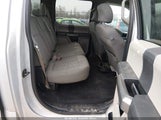 Miniaturka zdjęcia 8