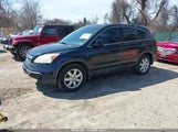 Honda Cr-V Ex-L 5J6RE487X7L008692 photo