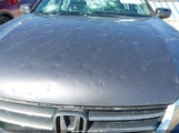 Honda Accord Ex-L 1HGCR2F80EA158515 снимка