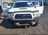Toyota Tacoma Prerunner V6 5TEKU72NX7Z459934 photo