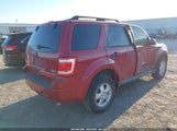 Ford Escape Xlt 1FMCU0DG6AKC83398 снимка