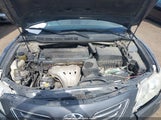 Miniaturka zdjęcia 10