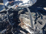 BMW 750I WBAYA8C54DD227919 снимка