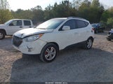 Hyundai Tucson Gls KM8JU3AC7DU727357 снимка