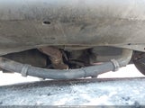 Mini Hardtop Cooper WMWSU3C58DT678714 снимка