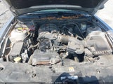 Ford Mustang V6 Premium 1ZVBP8AM2B5166284 снимка