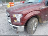 Ford F-150 Xlt 1FTFW1EG1FKD12703 снимка