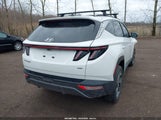 Hyundai Tucson Limited 5NMJECAE3PH178108 снимка