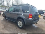 Ford Escape Xlt 1FMYU04142KC30508 снимка