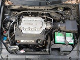 Miniaturka zdjęcia 10