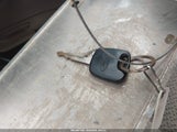 Miniaturka zdjęcia 11