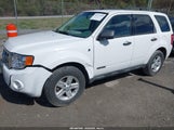 Ford Escape Hybrid 1FMCU59H58KB16572 снимка