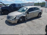 Chrysler Sebring Touring 1C3LC56B49N525478 снимка