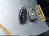 Miniaturka zdjęcia 11