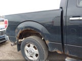 Ford F-150 Xlt 1FTFW1EF2DFD14232 снимка