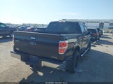 Ford F-150 Xlt 1FTEW1CM6EKD58322 снимка