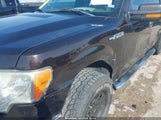 Ford F-150 Xlt 1FTEW1CM6EKD58322 снимка