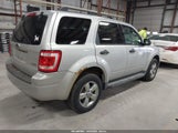 Ford Escape Xlt 1FMCU93G69KC64853 снимка