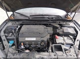 Honda Accord Ex-L V-6 1HGCR3F86EA034738 photo